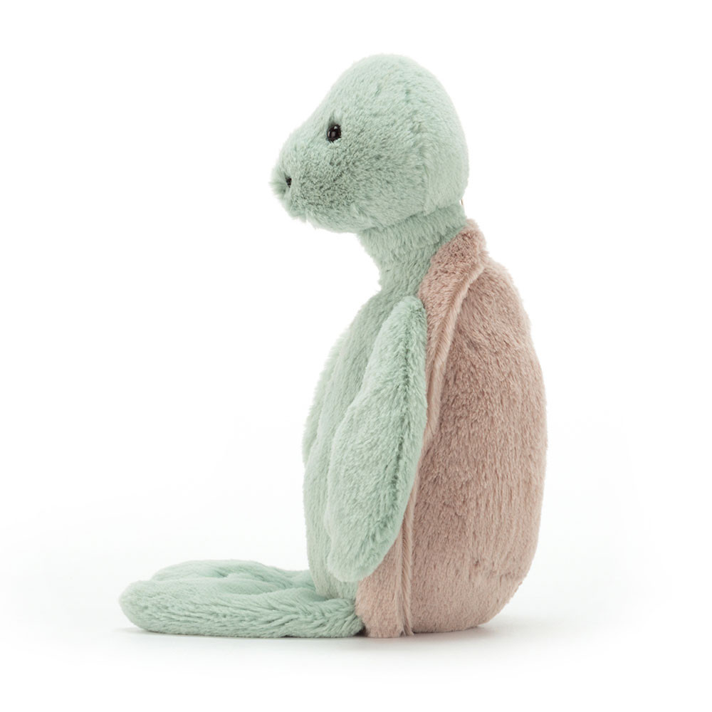 Bashful Turtle - Image 5