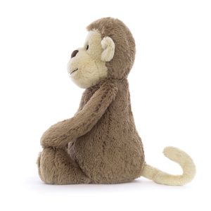 BASHFUL_MONKEY_2__28640.1727975932