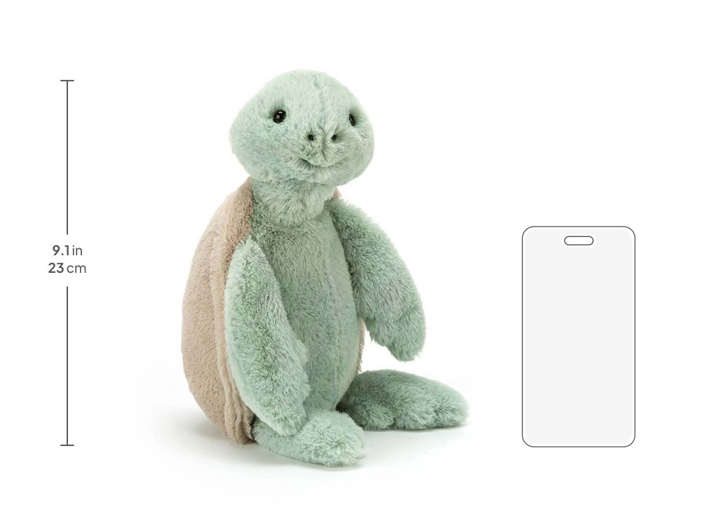 Bashful Turtle - Image 11