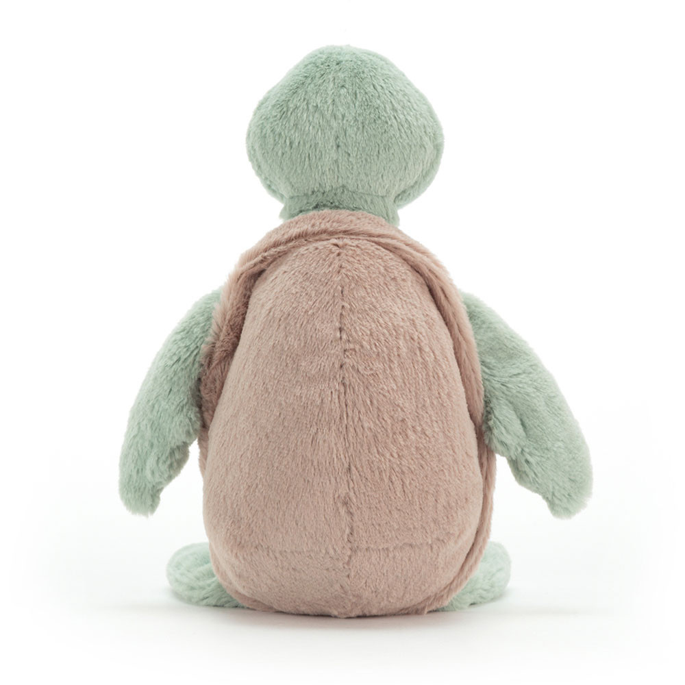 Bashful Turtle - Image 9